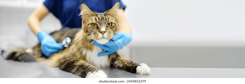 Veterinarians